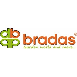 BRADAS