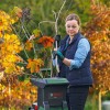 Подрібнювач гілок Bosch AXT 25TC (060080330C)