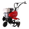 Мотокультиватор Pubert Power 55 PC3