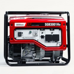 Бензиновий генератор Daishin SGB3001Ha
