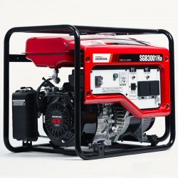 Бензиновий генератор Daishin SGB3001Ha