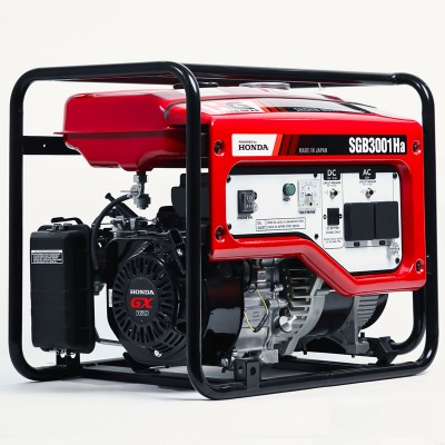Бензиновий генератор Daishin SGB3001Ha