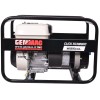 Бензиновий генератор GENMAC CLICK RG3000HO