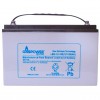 Акумуляторна батарея GASPOWER LBG-12-100A/H