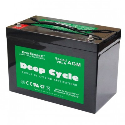 Акумуляторна батарея EverExceed DP-12100