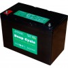 Акумуляторна батарея EverExceed DP-12135