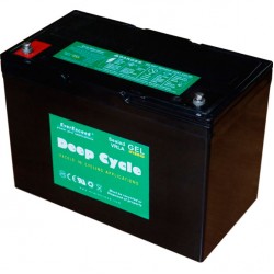 Акумуляторна батарея EverExceed DP-12135