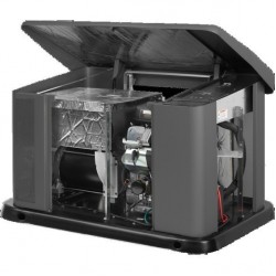 Газовий генератор BRIGGS & STRATTON GEN 11000