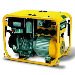 Бензиновий генератор ENDRESS ESE 604 DBG DIN Бензиновий генератор ENDRESS ESE 604 DBG DIN