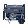 Бензиновый генератор MATARI BS10000E