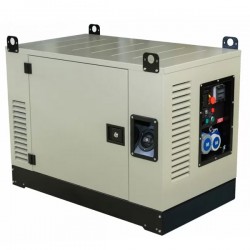 Бензиновий генератор FOGO FV 17001 RCEA