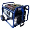 Бензиновий генератор ENDRESS ESE 3200 P