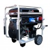 Бензиновий генератор MATARI MX14003E