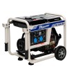 Дизельный генератор Malcomson ML5500‐DE1