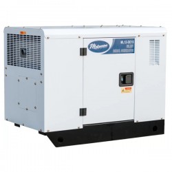 Дизельний генератор Malcomson ML12‐DE3S