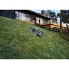 Газонокосарка-робот Husqvarna AM435XAWD (9678533-11)