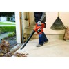 Садовий пилосос Black & Decker GWC3600L20 (без акумулятора і ЗП)