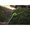 Кущоріз телескопічний акумуляторний Greenworks G24PH51 (2300707) (без акумулятора і ЗП)