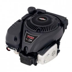 Двигун Briggs & Stratton B & S 700 серії DOV