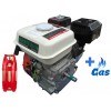 Бензо-газовий двигун Iron Angel FAVORITE 200-1M LPG