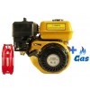 Бензо-газовий двигун FORTE F200G LPG