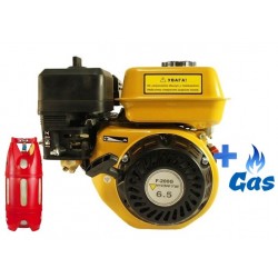 Бензо-газовий двигун FORTE F200G LPG