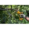 Акумуляторний секатор DeWalt DCMPP568N (без АКБ та ЗП)