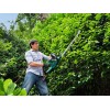 Кущоріз Bosch AHS 65-34 (0600847J00)
