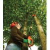 Висоторіз Black&Decker PS7525