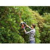 Кущоріз мережевий з ножівкою Black & Decker BEHTS401-QS