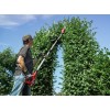 Кущоріз акумуляторний Einhell GE-HH 18 LI T- Solo (3410820)