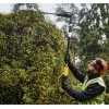 Кущоріз акумуляторний безщітковий DeWALT DCMPH566P1