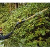 Кущоріз акумуляторний безщітковий DeWALT DCMPH566P1