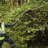Кущоріз акумуляторний безщітковий DeWALT DCMPH566P1