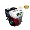 Бензиновий двигун Iron Angel FAVORITE 200-1M