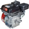 Двигун бензиновий Vitals GE 6.0-19k (165163)