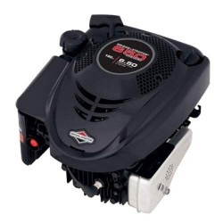 Двигун Briggs & Stratton B & S 650 E - Series
