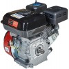 Двигун бензиновий Vitals GE 7.0-25s (165168)