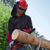 Пила ланцюгова електрична Einhell GE-EC 2240