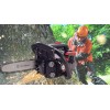 Бензопилки Tonino Lamborghini PC 26 CA TL (75074070-L)