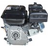 Двигун бензиновий Vitals GE 6.0-19k (165163)