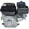 Двигун бензиновий Vitals GE 6.0-19kp (165166)