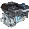 Двигун бензиновий Vitals GE 6.0-19kp (165166)
