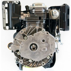 Двигун Rato RV225