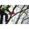 Акумуляторна ланцюгова пилка Milwaukee M18 FHS20-0 (4933480117) (без АКБ та ЗП)
