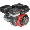 Двигун бензиновий Vitals GE 6.0-19kp (165166)