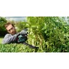 Кущоріз Bosch AHS 55-20 Li (0600849G00)