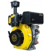 Двигун дизельний Кентавр ДВУ-300ДЕ (115752)