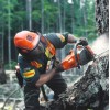 Бензинова пилка Husqvarna 545 II (9676906-35)