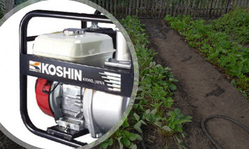 Koshin STH-50X-BFF